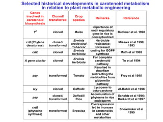 Genes
involved in
carotenoid
biosynthesis
Cloned/
transferred
Crop
species
Remarks Reference
Y1
cloned Maize
Importance of
such regulatory
gene in rice is
conceptualized
Buckner et al. 1990
crtI (Phytene
desaturase)
cloned/
transformed
Erwinia
uredovora/
Tobacco/
Herbicide
resistance;
Increased
Misawa et al 1990,
1993
crtE cloned
Erwinia
herbicola
coding for GGPP
synthase
Math et al 1992
A gene cluster cloned
Erwinia
herbicola
For complete
carotenoid
pathway
To et al 1994
psy transformed Tomato
Resulted in
dwarfism
redirecting the
metabolites from
gibberellin
pathway
Fray et al 1995
lcy cloned Daffodil
Lycopene to
beta-carotene
Al-Babili et al 1996
psy
cloned/
transformed
Daffodil/
Rice
Accumulation of
phytoene in rice
endosperm
Scheldz et al 1996;
Burkardt et al 1997
crtB
(phytoene
synthase)
transformed Brassica
Overexpression
led to increase
in carotenoids
and other
metabolites
Shewmaker et al
1999
Selected historical developments in carotenoid metabolism
in relation to plant metabolic engineering
 