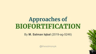 Approaches of
BIOFORTIFICATION
By M. Salman Iqbal (2019-ag-5246)
@thesalmanpk
 