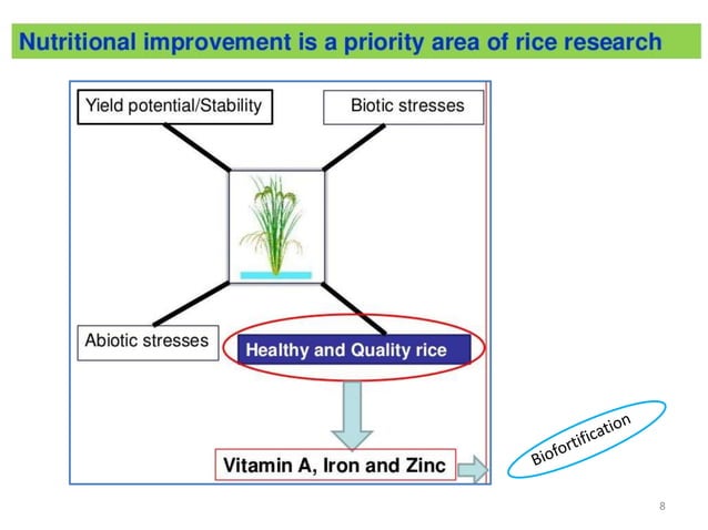 Bio fortification for Enhanced Nutrition in Rice by Conventional and ...