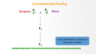 F2
P2
F1
P1
x
Large populations consisting of
thousands of plants
DonorRecipient
Conventional plant breeding
10
 