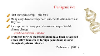 Transgenic rice
• First transgenic crop - mid 80’s
• Many crops have already been under cultivation over last
10 years
• Rice - prone to many pest, disease and unpredictable
climate change
– genetic engineering is utilized
• Protocols for rice transformation have been developed
which allow transfer of foreign genes from diverse
biological systems into rice
Prabhu et al (2011)
13
 
