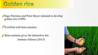 Ingo Potrykus and Peter Beyer initiated to develop
golden rice (1999)
Fortified with beta-carotene
Beta-carotene gives the distinctive tint
Antonio Alfonso (2013)
20
 