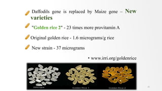 • Daffodils gene is replaced by Maize gene – New
varieties
• " " - 23 times more provitamin A
• Original golden rice - 1.6 micrograms/g rice
• New strain - 37 micrograms
• www.irri.org/goldenrice
25
 