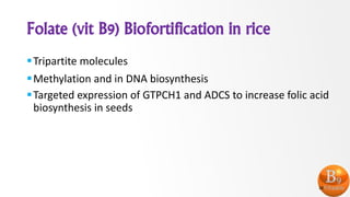 Folate (vit B9) Biofortification in rice
Tripartite molecules
Methylation and in DNA biosynthesis
Targeted expression of GTPCH1 and ADCS to increase folic acid
biosynthesis in seeds
28
 