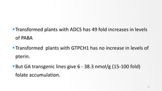 Transformed plants with ADCS has 49 fold increases in levels
of PABA
Transformed plants with GTPCH1 has no increase in levels of
pterin.
But GA transgenic lines give 6 - 38.3 nmol/g (15-100 fold)
folate accumulation.
31
 