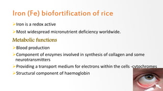 Iron (Fe) biofortification of rice
Iron is a redox active
Most widespread micronutrient deficiency worldwide.
Metabolic functions
Blood production
Component of enzymes involved in synthesis of collagen and some
neurotransmitters
Providing a transport medium for electrons within the cells -cytochromes
Structural component of haemoglobin
34
 