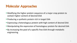 Molecular Approaches
 Modifying the higher protein sequence of a major crop protein to
contain higher content of desired EAA
 Producing a synthetic protein rich in target EAA
 Expressing a heterologous protein with high content of desired EAA
 Manipulating the expression of homologous protein for desired EAA
 By increasing the pool of a specific free EAA through metabolic
engineering
43
 