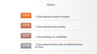 History
- China initiated research on hybrid1964
- China identified male sterility1970
- 3 line breeding was established1973
- First commercial three-line rice hybrid released
in China1976
5
 