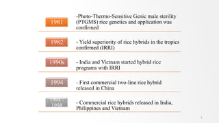 6
-Photo-Thermo-Sensitive Genic male sterility
(PTGMS) rice genetics and application was
confirmed
1981
- Yield superiority of rice hybrids in the tropics
confirmed (IRRI)
1982
- India and Vietnam started hybrid rice
programs with IRRI
1990s
- First commercial two-line rice hybrid
released in China
1994
- Commercial rice hybrids released in India,
Philippines and Vietnam
1994 -
1998
 