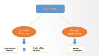 Selective
breeding
Genetic
engineering
High-nutrient
varieties
High-yielding
varieties
Various
techniques
9
 