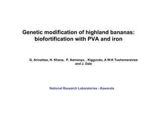 Genetic modification of highland bananas:
biofortification with PVA and iron

G. Arinaitwe, H. Khana, P. Namanya, . Kiggundu, A W.K Tushemereirwe
and J. Dale

Research Framework
National Research Laboratories - Kawanda

 