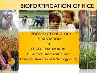 BIOFORTIFICATION OF RICE

FOOD BIOTECHNOLOGY
PRESENTATION
BY
EUGENE MADZOKERE
4.1 Biotech Undergrad Student
Chinhoyi University of Technology (Zim)

 