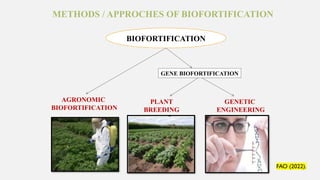 Biofortification Approaches in Fruit Crops: Enhancing Nutritional ...
