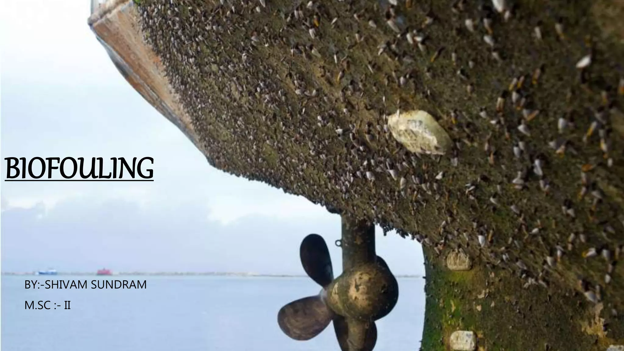 Biofouling | PPT