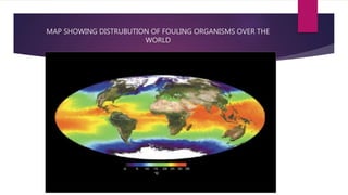 Biofouling | PPTX