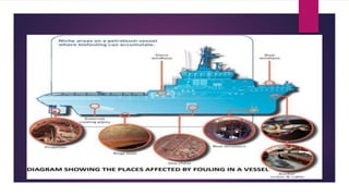 Biofouling | PPTX