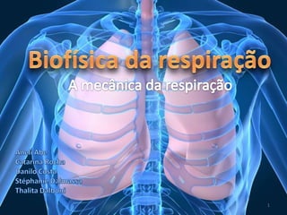 Biofísica da respiração A mecânica da respiração AneliAbe Catarina Rocha Danilo Costa StéphanieDalmassa ThalitaDalboni 1 