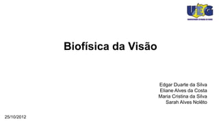 Biofísica da Visão


                                  Edgar Duarte da Silva
                                  Eliane Alves da Costa
                                  Maria Cristina da Silva
                                     Sarah Alves Nolêto


25/10/2012
 