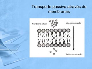 Transporte passivo através de
        membranas
 
