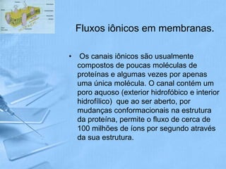 Fluxos iônicos em membranas.

•    Os canais iônicos são usualmente
    compostos de poucas moléculas de
    proteínas e algumas vezes por apenas
    uma única molécula. O canal contém um
    poro aquoso (exterior hidrofóbico e interior
    hidrofílico) que ao ser aberto, por
    mudanças conformacionais na estrutura
    da proteína, permite o fluxo de cerca de
    100 milhões de íons por segundo através
    da sua estrutura.
 