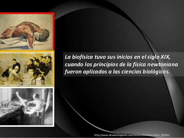 Libro Libro