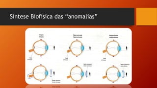 Síntese Biofísica das “anomalias”
 