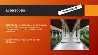Estereopsia
• Estereopsia é o nome que se dá ao processo
de percepção visual que nos permite
observar o mundo que nos rodeia a três
dimensões.
• Esse precesso é feito através da visão
binocular.
 