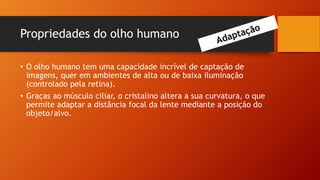 Propriedades do olho humano
• O olho humano tem uma capacidade incrível de captação de
imagens, quer em ambientes de alta ou de baixa iluminação
(controlado pela retina).
• Graças ao músculo ciliar, o cristalino altera a sua curvatura, o que
permite adaptar a distância focal da lente mediante a posição do
objeto/alvo.
 