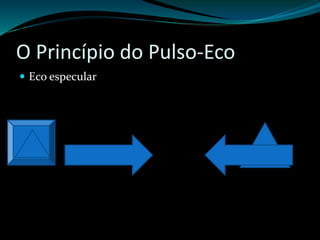 O Princípio do Pulso-Eco 
 Eco especular 
 