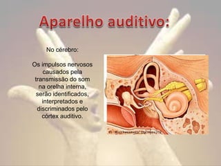 No cérebro:
Os impulsos nervosos
causados pela
transmissão do som
na orelha interna,
serão identificados,
interpretados e
discriminados pelo
córtex auditivo.

 