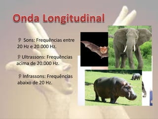  Sons: Frequências entre
20 Hz e 20.000 Hz.
Ultrassons: Frequências
acima de 20.000 Hz.
Infrassons: Frequências
abaixo de 20 Hz.

 