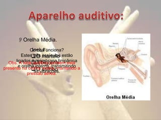 Orelha Média.
Como Funciona?
Inclui :
Estes três martelo estão
O ossículos
ligados à membrana
Obs. A tubaA bigornatimpânica
auditiva também está
e orelha interna, transmitindo a
presente na orelha estribo
média, mantendo
Ovibrações.
as aérea.
pressão

 
