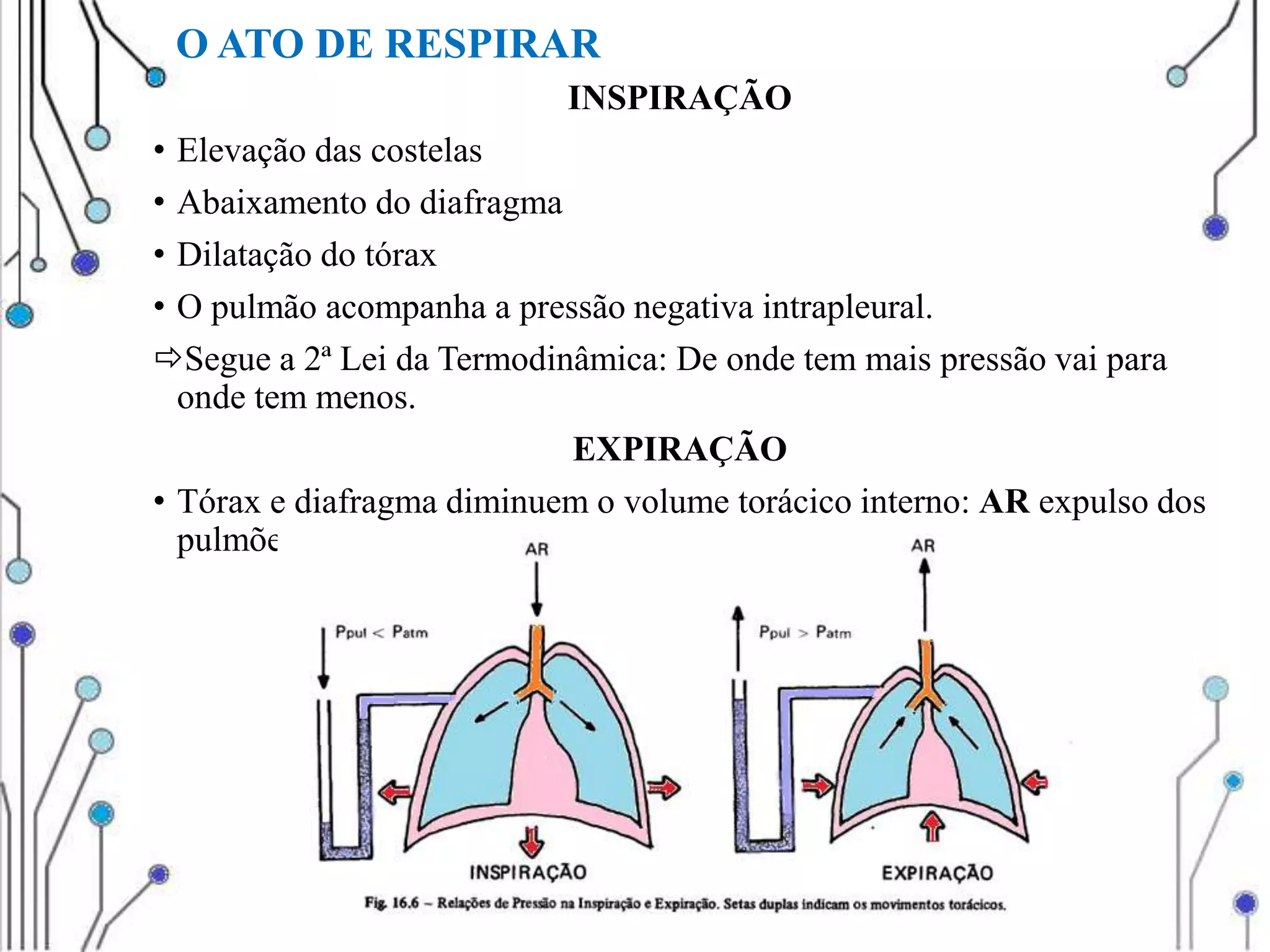 Biofísica da respiração prática | PPTX