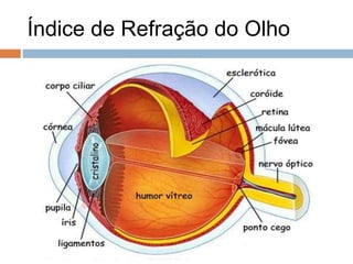 Índice de Refração do Olho
 