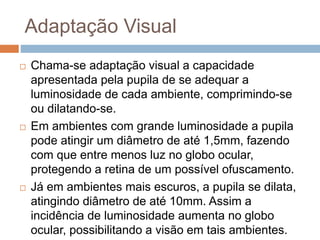 Adaptação Visual
 Chama-se adaptação visual a capacidade
apresentada pela pupila de se adequar a
luminosidade de cada ambiente, comprimindo-se
ou dilatando-se.
 Em ambientes com grande luminosidade a pupila
pode atingir um diâmetro de até 1,5mm, fazendo
com que entre menos luz no globo ocular,
protegendo a retina de um possível ofuscamento.
 Já em ambientes mais escuros, a pupila se dilata,
atingindo diâmetro de até 10mm. Assim a
incidência de luminosidade aumenta no globo
ocular, possibilitando a visão em tais ambientes.
 