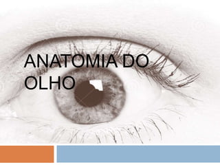 ANATOMIA DO
OLHO
 
