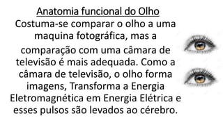 Anatomia funcional do Olho
Costuma-se comparar o olho a uma
maquina fotográfica, mas a
comparação com uma câmara de
televisão é mais adequada. Como a
câmara de televisão, o olho forma
imagens, Transforma a Energia
Eletromagnética em Energia Elétrica e
esses pulsos são levados ao cérebro.
 