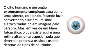 O olho humano é um órgão
extremamente complexo; atua como
uma câmera, coletando, focando luz e
convertendo a luz em um sinal
elétrico traduzido em imagens pelo
cérebro. Mas, em vez de um filme
fotográfico, o que existe aqui é uma
retina altamente especializada que
detecta e processa os sinais usando
dezenas de tipos de neurônios.
 