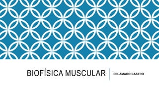 BIOFÍSICA MUSCULAR DR. AMADO CASTRO
 