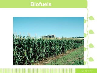 Biofuels
 