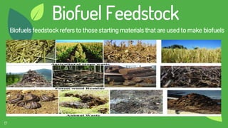 17
Biofuel Feedstock
Biofuels feedstock refers to those starting materials that are used to make biofuels
 
