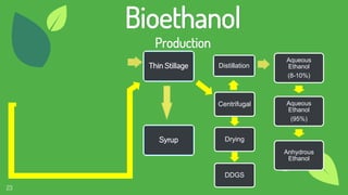 23
Bioethanol
Production
Centrifugal
Drying
DDGS
Aqueous
Ethanol
(8-10%)
Aqueous
Ethanol
(95%)
Anhydrous
Ethanol
Thin Stillage
Syrup
Distillation
 
