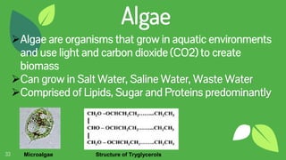 33
Algae
Algae are organisms that grow in aquatic environments
and use light and carbon dioxide (CO2) to create
biomass
Can grow in Salt Water, Saline Water, Waste Water
Comprised of Lipids, Sugar and Proteins predominantly
Microalgae Structure of Tryglycerols
 