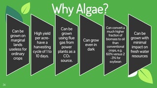 34
Why Algae?
Can be
grown on
marginal
lands
useless for
ordinary
crops
High yield
per acre-
have a
harvesting
cycle of 1 to
10 days.
Can be
grown
using flue
gas from
power
plants as a
CO2
source.
Can grow
even in
dark
Can convert a
much higher
fraction of
biomass to oil
than
conventional
crops, e.g.
60% versus 2
-3% for
soybean
Can be
grown with
minimal
impact on
fresh water
resources
 