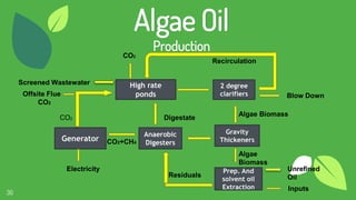 36
Algae Oil
Production
Unrefined
Oil
Prep. And
solvent oil
Extraction
High rate
ponds
2 degree
clarifiers
Gravity
Thickeners
Anaerobic
Digesters
Generator
CO2
Inputs
Algae Biomass
Algae
Biomass
Blow Down
Recirculation
Screened Wastewater
Offsite Flue
CO2
CO2
Electricity
CO2+CH4
Residuals
Digestate
 