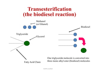 Transesterification
(the biodiesel reaction)
Fatty Acid Chain
Glycerol
Methanol
(or Ethanol)
One triglyceride molecule is converted into
three mono alkyl ester (biodiesel) molecules
Biodiesel
Triglyceride
neethu asokan
 