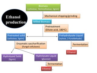 Biomass
(cellulose, Hemicellulose, lignin)
Milled Biomass
Ethanol
Prehydrolysate Liquid
(xylose, 2-furaldehyde)
Pretreated solid
(cellulose, lignin)
Mechanical chipping/grinding
Pretreatment
(Dilute acid, 180oC)
FermentationEnzymatic saccharification
(fungal cellulases)
Hydrolyzed Solid
(lignin)
Hydrolysate Liquid
(glucose)
Ethanol
fermentation
Ethanol
production
neethu asokan
 