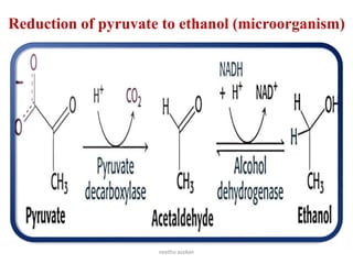Reduction of pyruvate to ethanol (microorganism)
• It occurs by the 2 reactions shown below:
• The overall reaction of alcohol fermentation:
• Glc+2ADP +2P---------> 2 Ethanol + 2CO2 + 2ATP + 2 H2O
neethu asokan
 