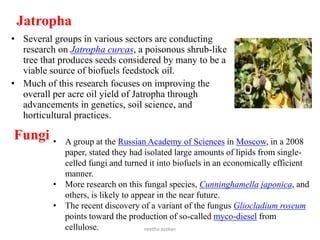 Jatropha
• Several groups in various sectors are conducting
research on Jatropha curcas, a poisonous shrub-like
tree that produces seeds considered by many to be a
viable source of biofuels feedstock oil.
• Much of this research focuses on improving the
overall per acre oil yield of Jatropha through
advancements in genetics, soil science, and
horticultural practices.
Fungi • A group at the Russian Academy of Sciences in Moscow, in a 2008
paper, stated they had isolated large amounts of lipids from single-
celled fungi and turned it into biofuels in an economically efficient
manner.
• More research on this fungal species, Cunninghamella japonica, and
others, is likely to appear in the near future.
• The recent discovery of a variant of the fungus Gliocladium roseum
points toward the production of so-called myco-diesel from
cellulose. neethu asokan
 