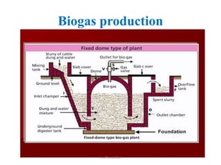 Biogas production
neethu asokan
 